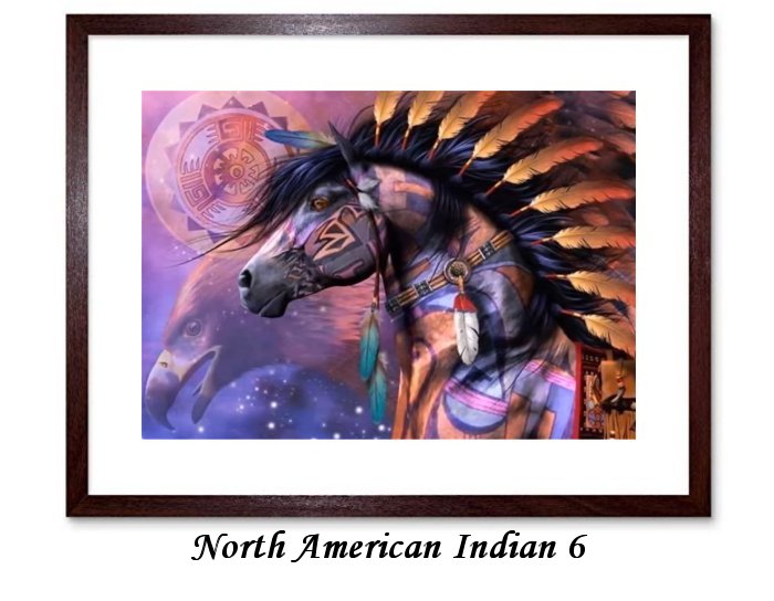 North American Indian Framed Prints